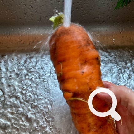 wash carrot gulerod vaskes