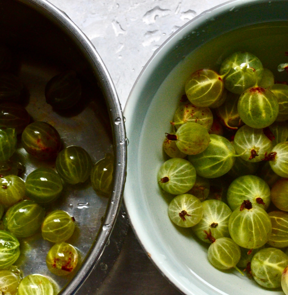 stikkelsbaer goose berries