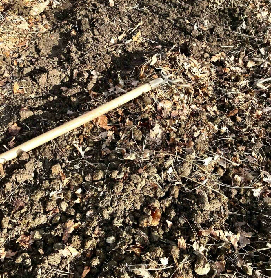 Kartoffelbed - Картопляна грядка