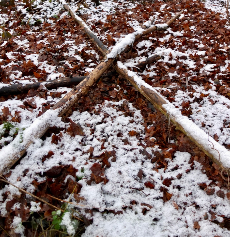 jorddaekke ground cover