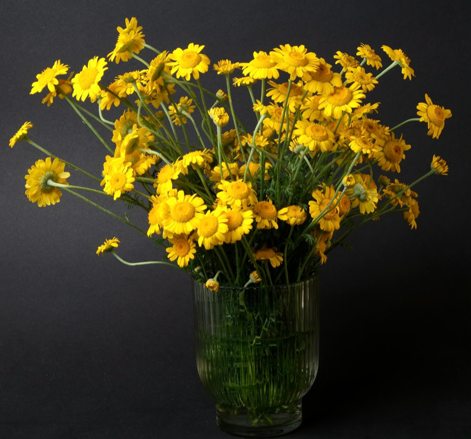 Flower bouguet - Органічні квіти