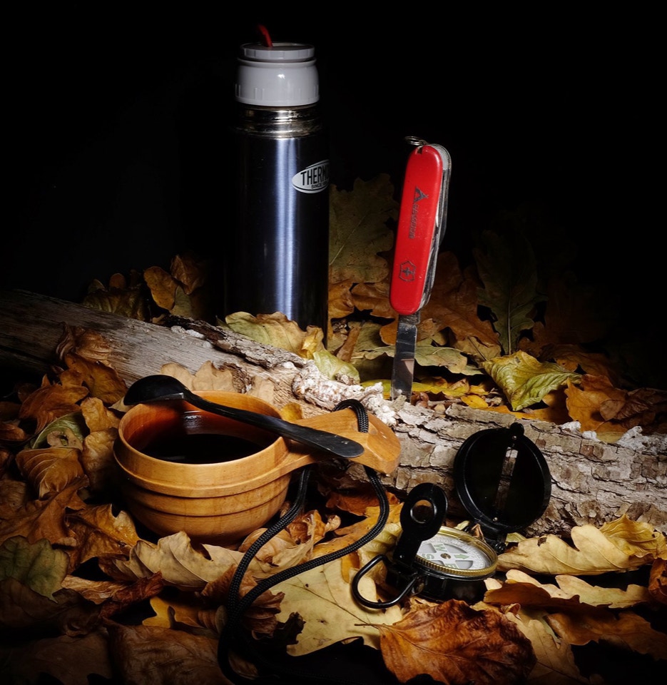 Forest night - Нічна лісова прогулянка 