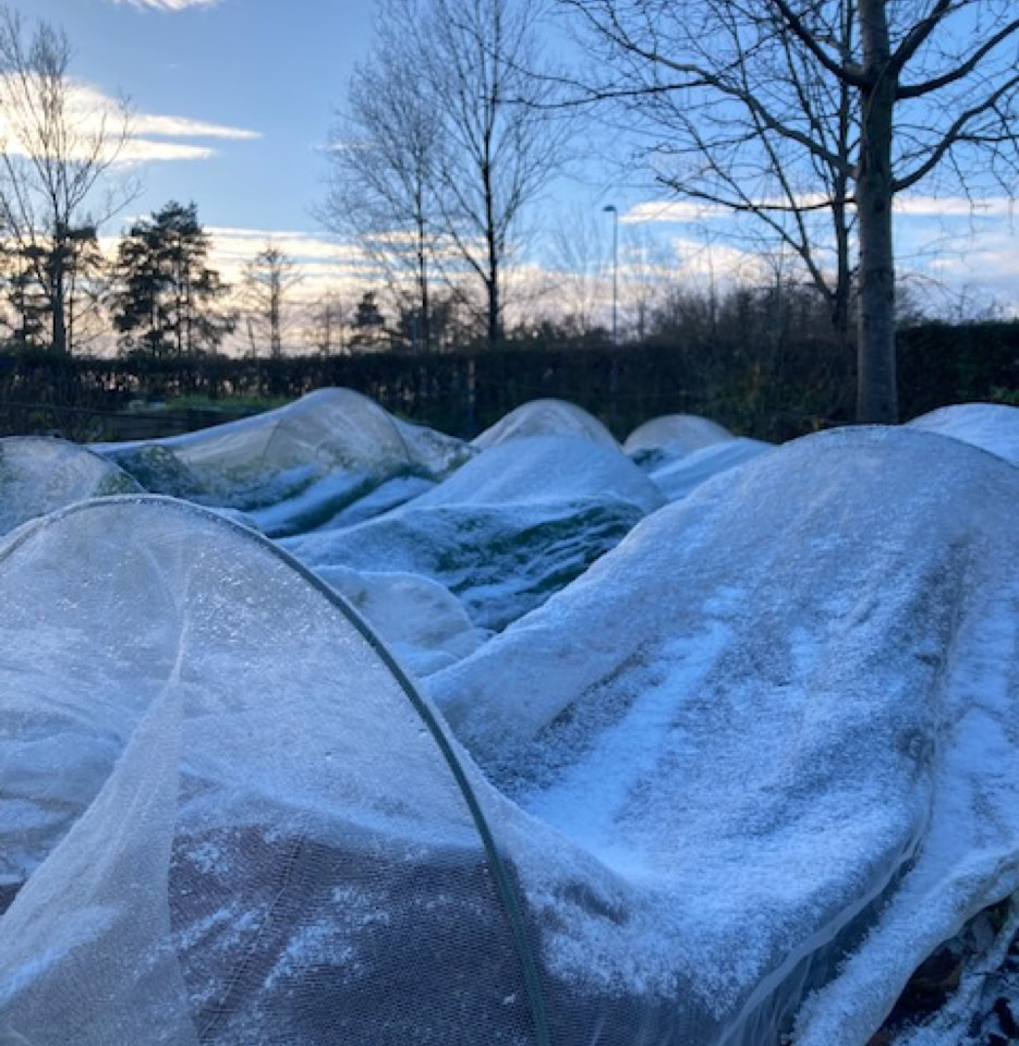 buer bionet vinter winter cover