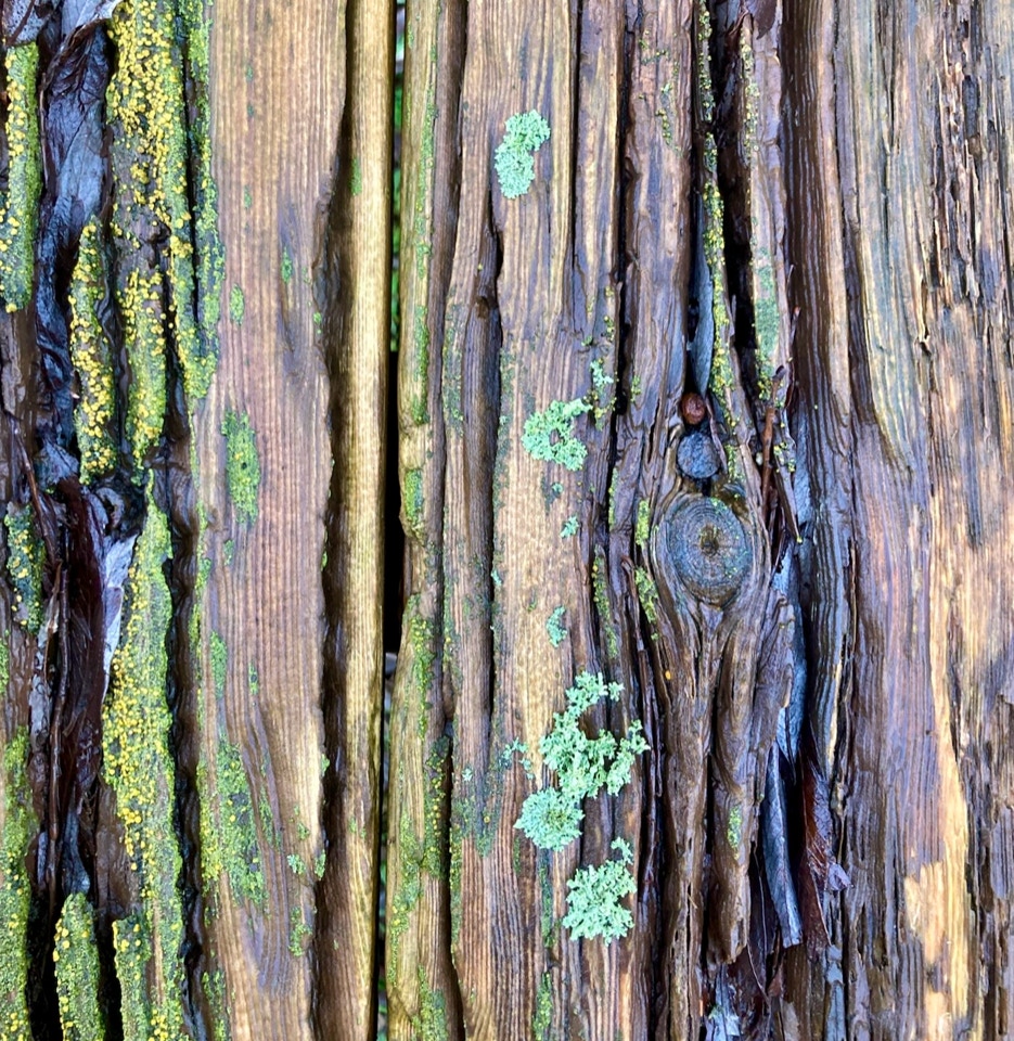 natur kunst, Nature art