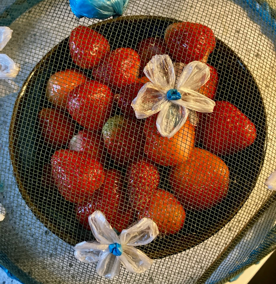 Jordbær under net - Полуниця найкраща 