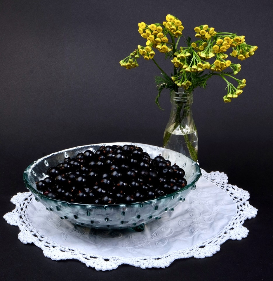 Solbær i skål - Чорна смородина в мисці