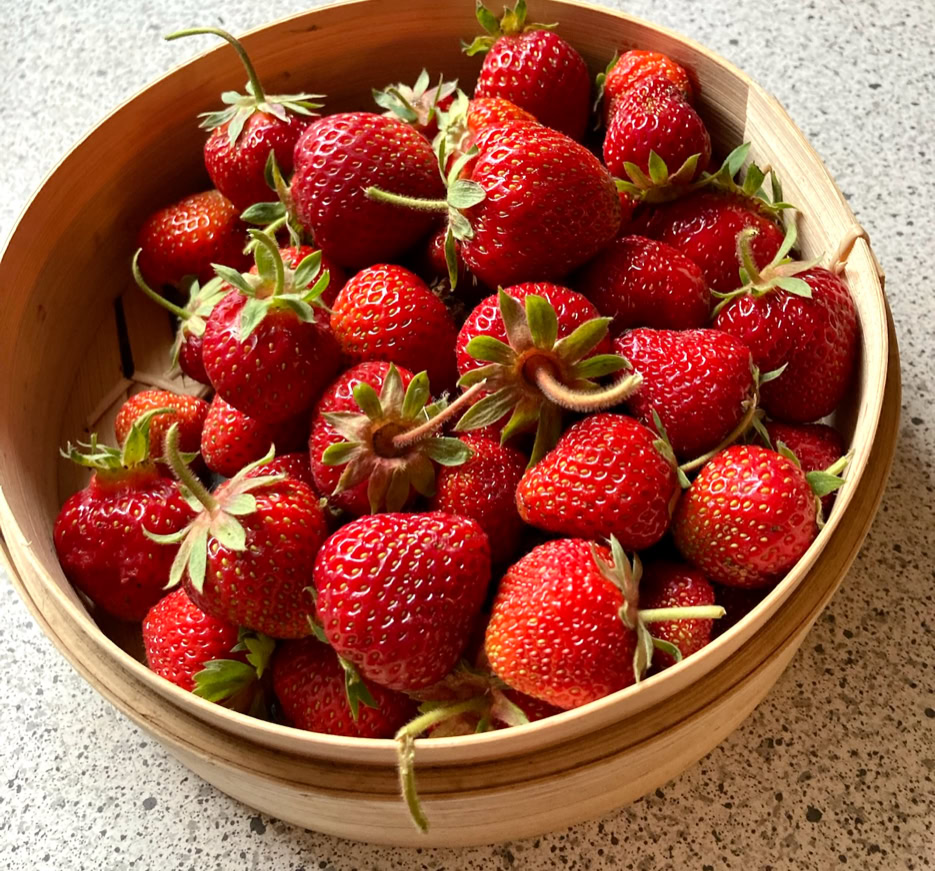 First strawberries - Перша полуниця