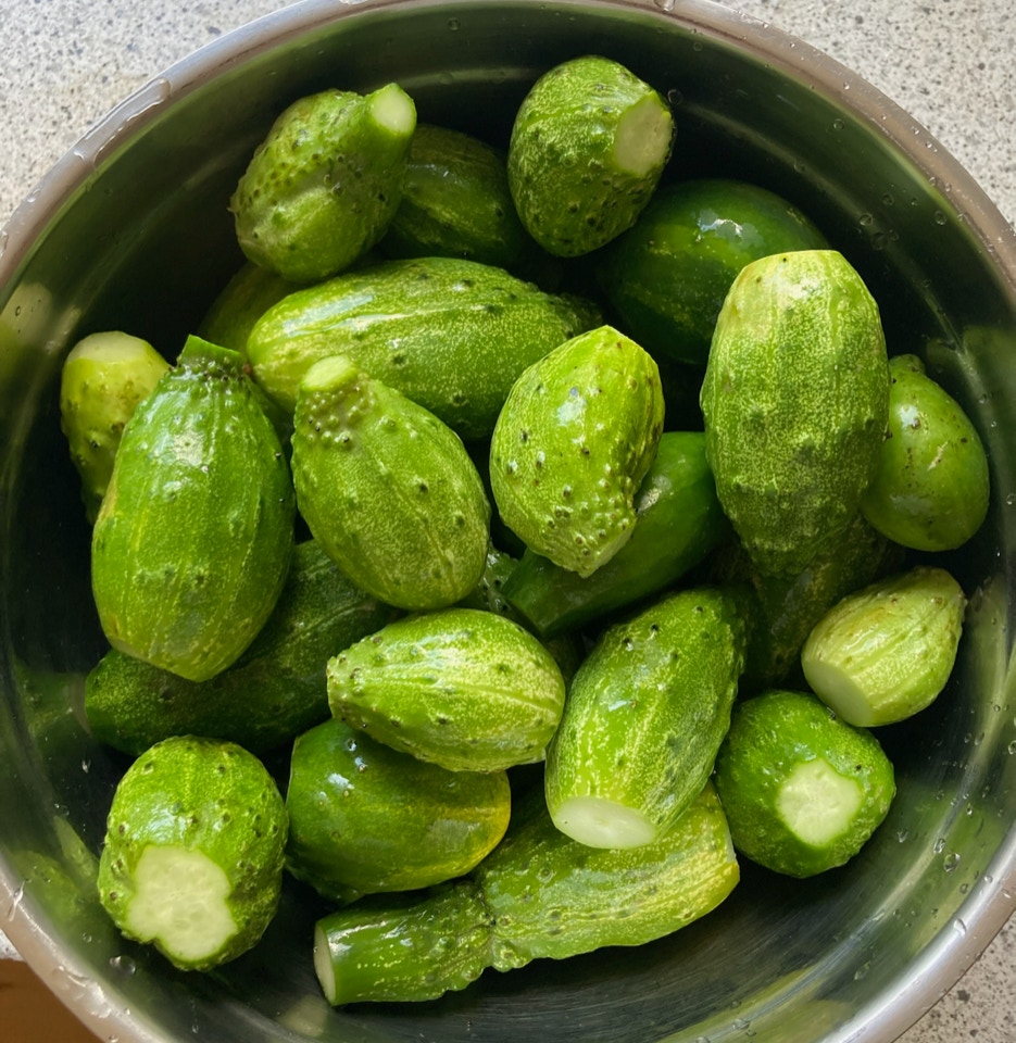 sylte agurker cukes cucumbers