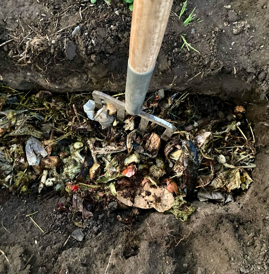 Bokashi in soil - Бокаші в ґрунті