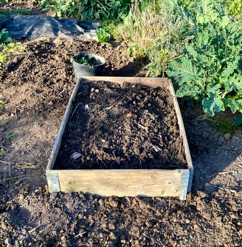 Raised bed - Підняте грядка