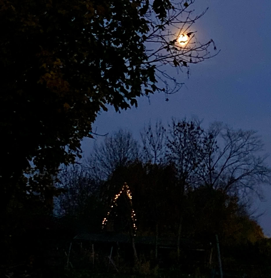 Winter lights - Зимові вогні