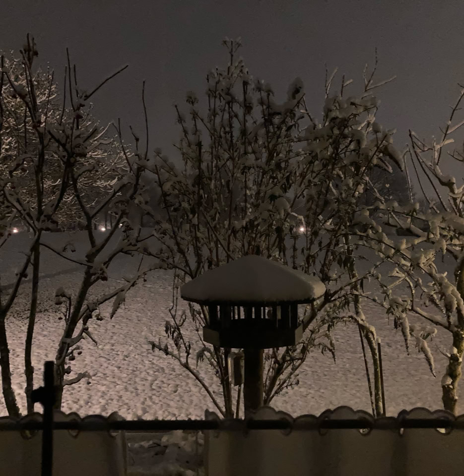 foerste sne first snow
