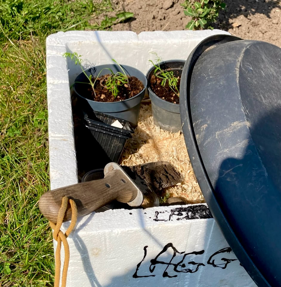 Planting tool hori-hori - Інструмент для посадки