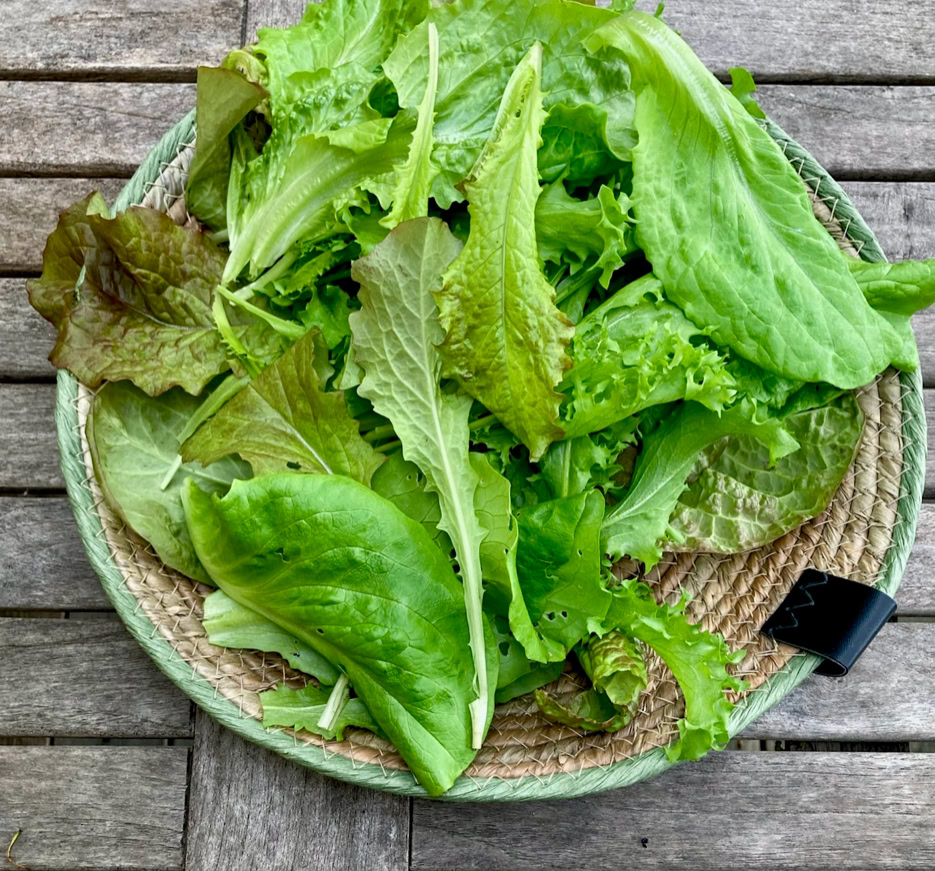 Green salad - Зелений салат