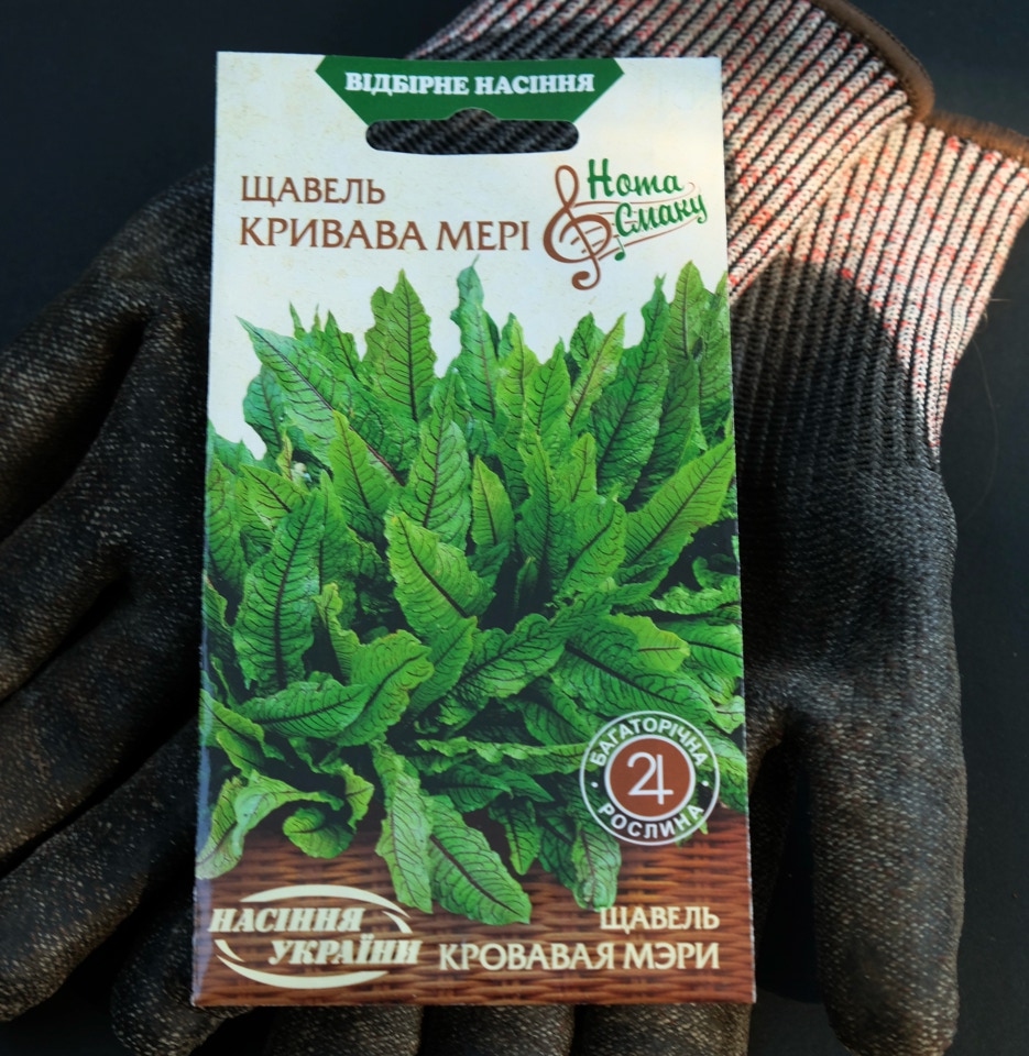 Frø fra Ukraine, syre - Щавель український 
