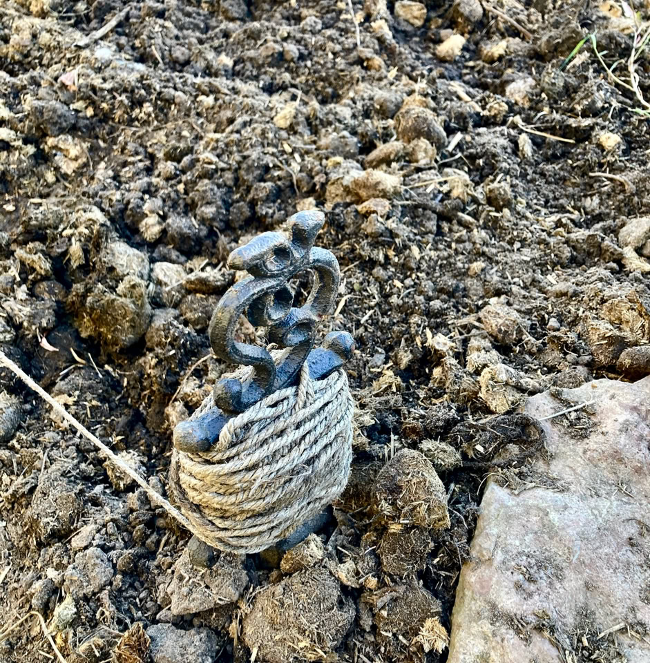 Garlic set - Часник 