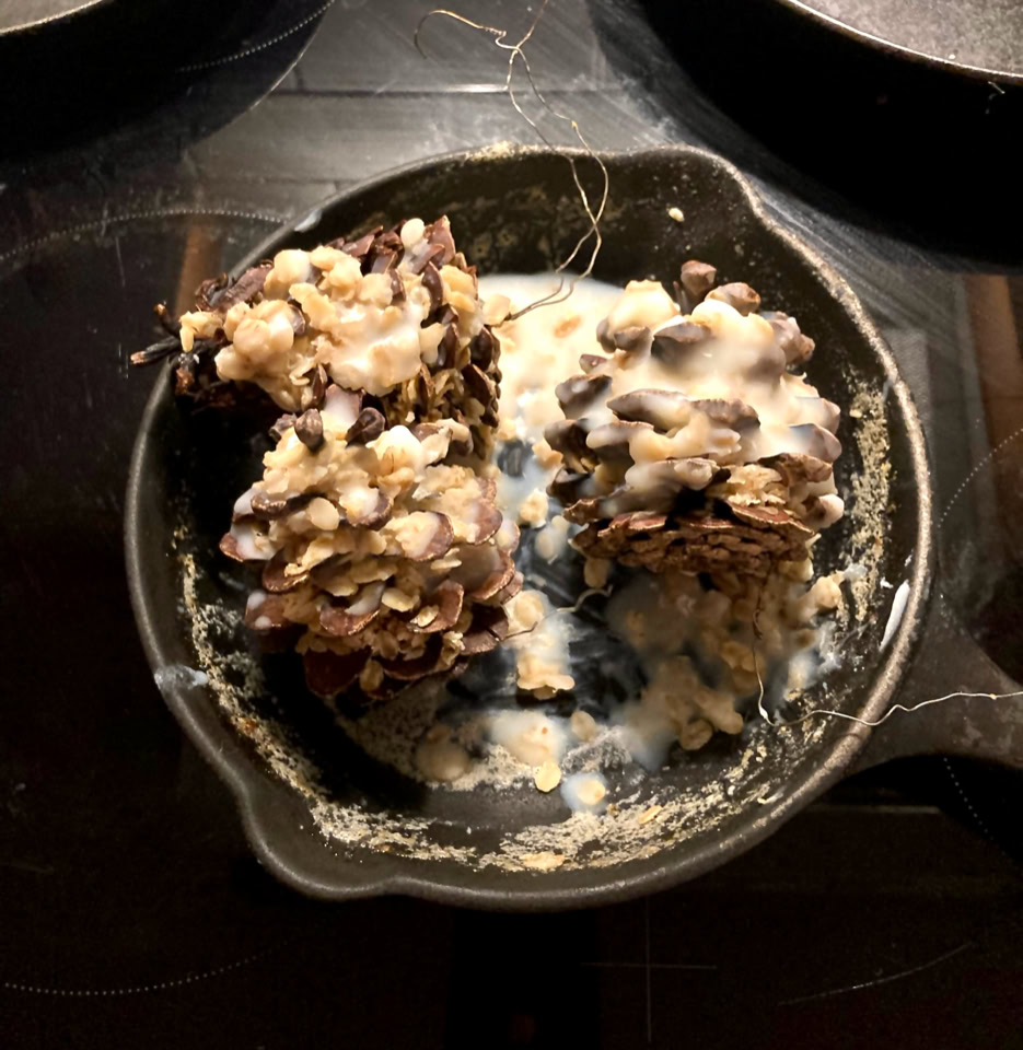 Смальці з соснових шишок