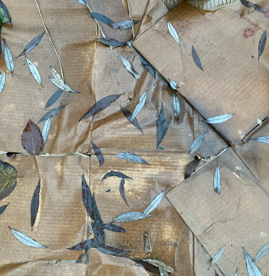 Bølgepap jorddække cardboard mulch