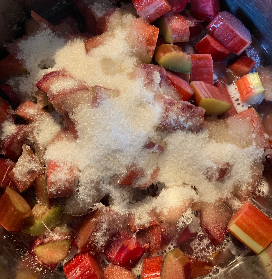 rabarber kompot rhubarb 