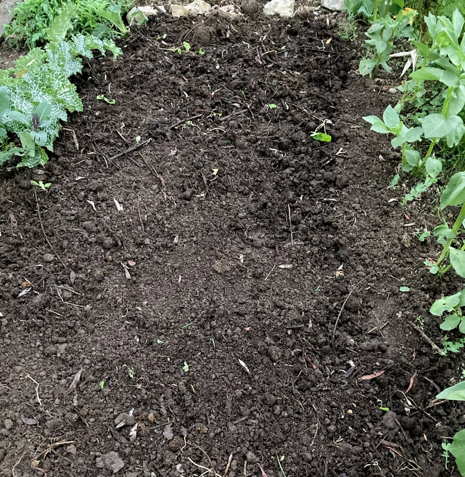 Organic fertilized  - З екокомпостом