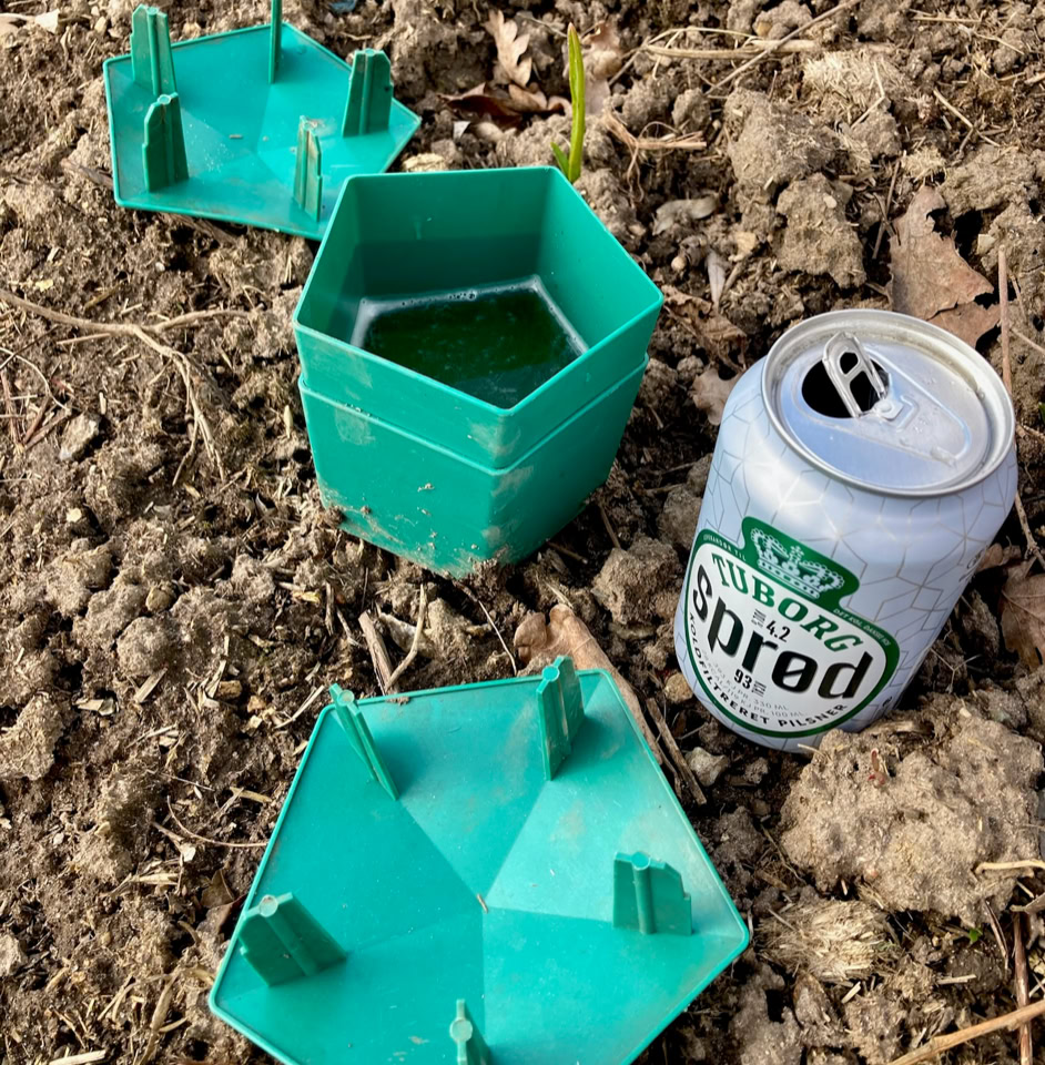 Beer trap - Пастка для пивних слимаків