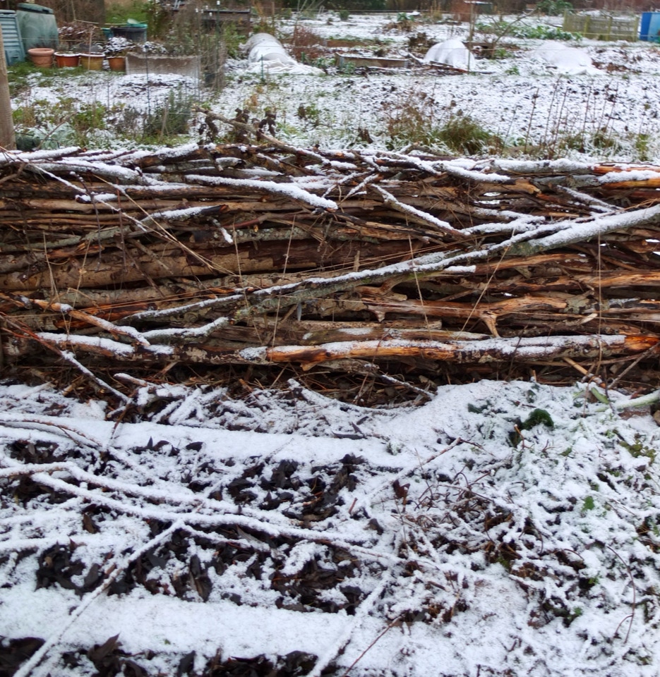 naturhegn wild hedge 
