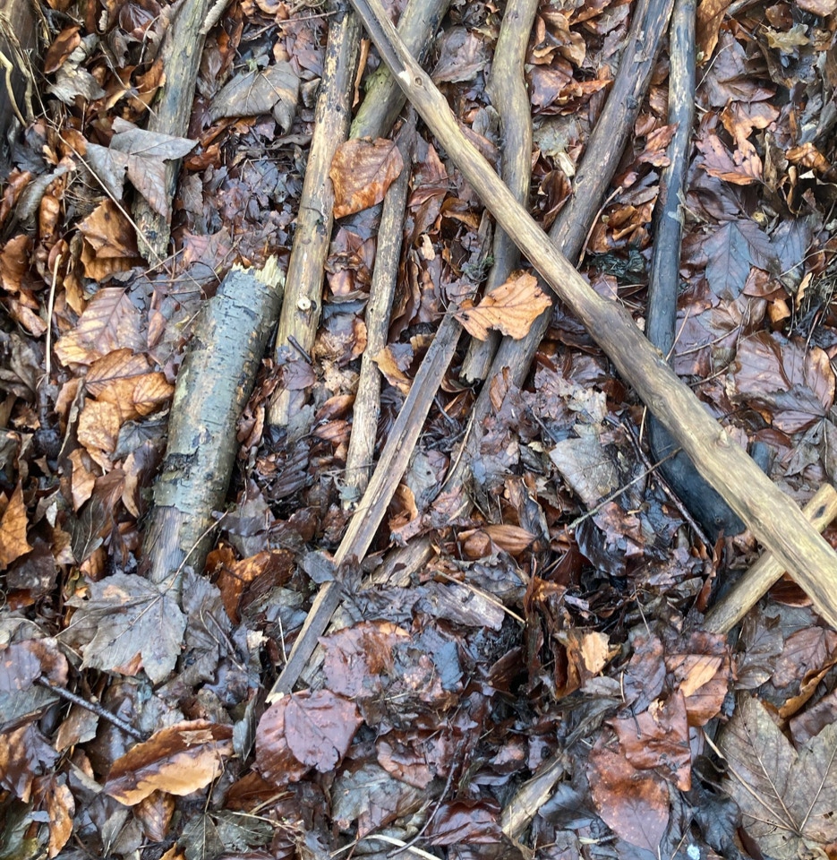 bladkompost, kompost, leaf compost