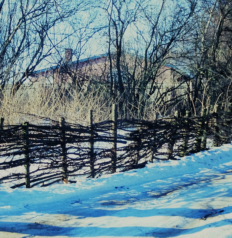 natur hegn natural fence