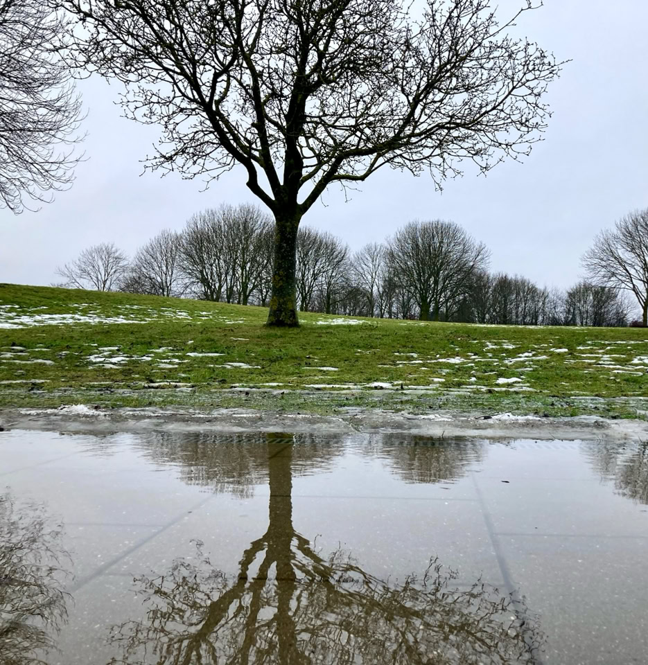 Thaw - Відлига там, де я живу