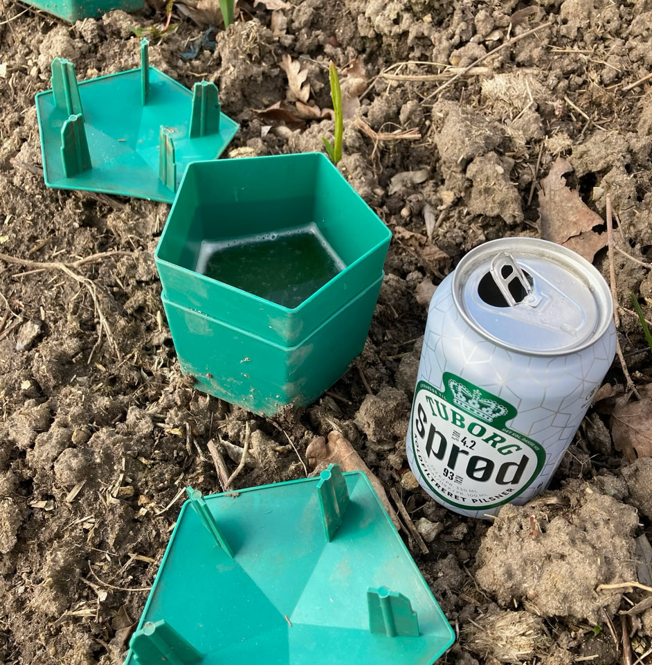 Beer trap - Пастка для пивних слимаків