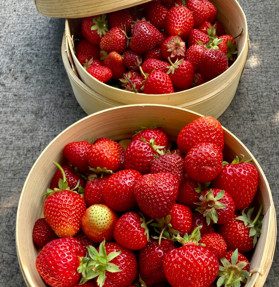 Jordbær kurv - маленьких кошики полуниці