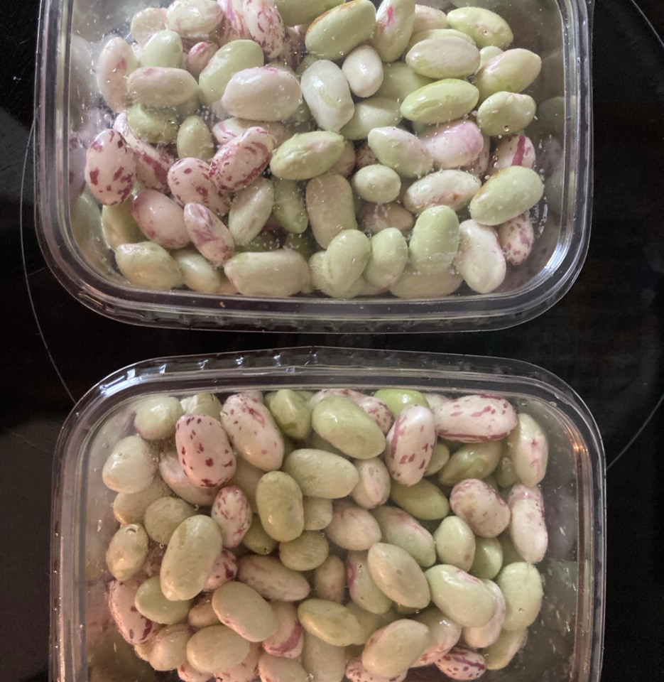 Borlotti boenner, beans