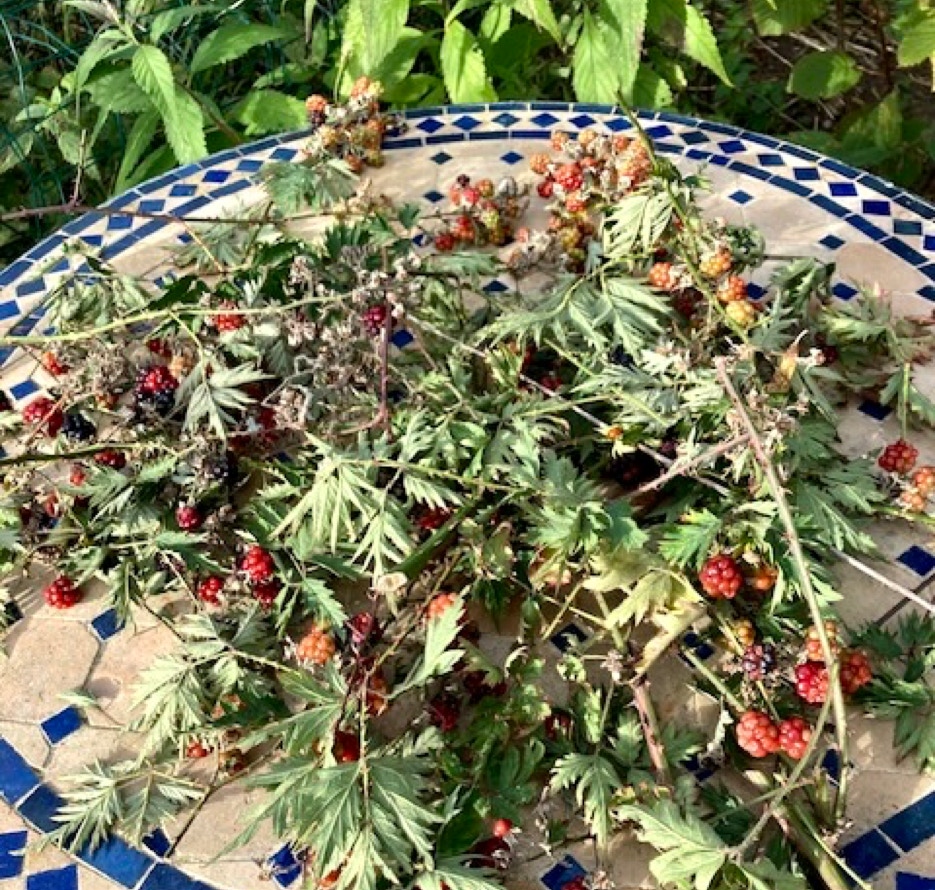 brombaer, mosaikbord, brambles, blackberries