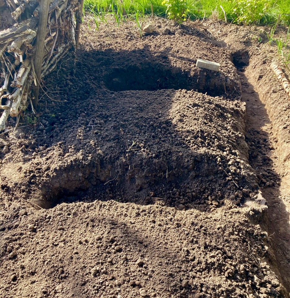 April 2024 hoejbede raised beds