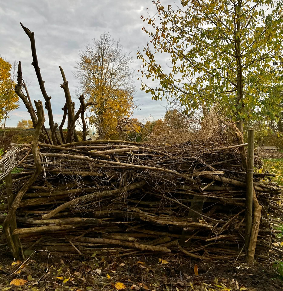 Insect hedge - живопліт для комах