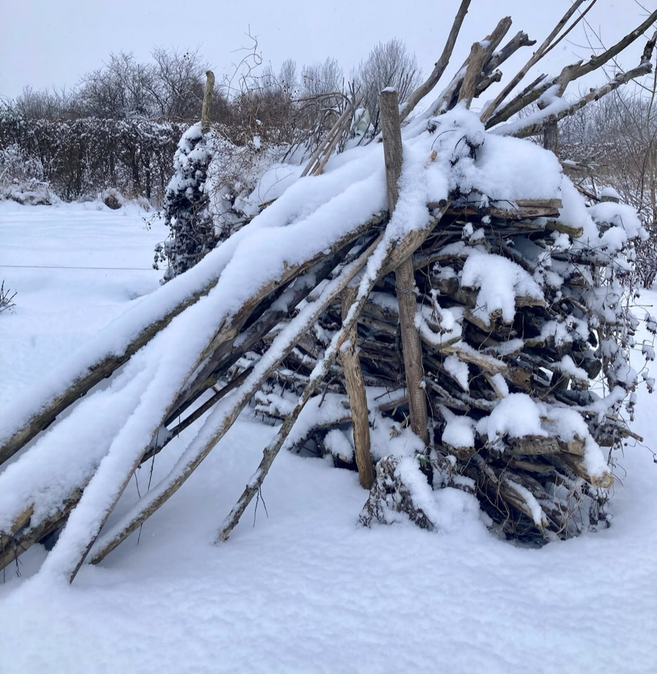 Biodiversity hedge - Біорізноманітна огорожа